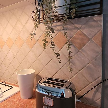 La Maison Aux Iris Pocé-sur-Cisse Екстериор снимка