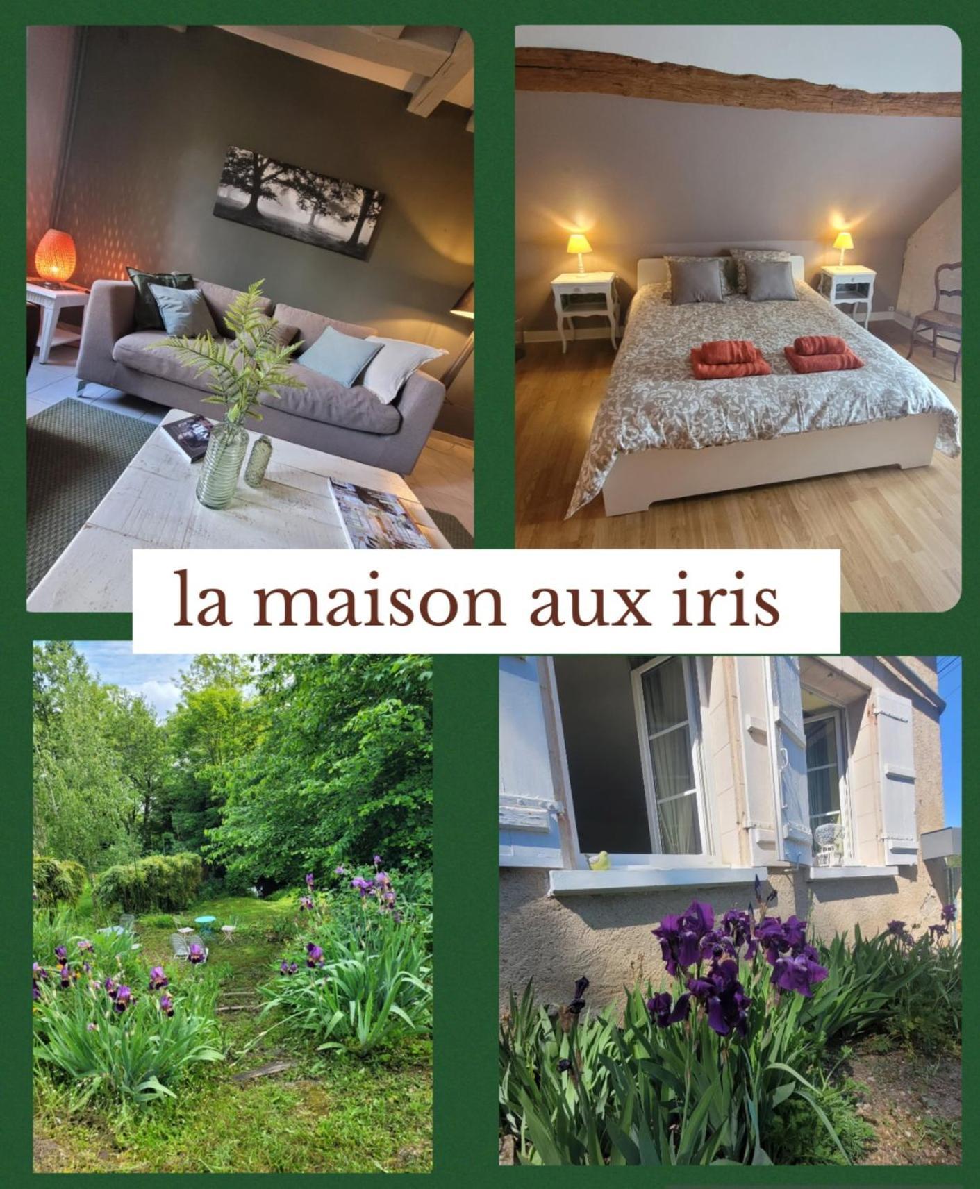 La Maison Aux Iris Pocé-sur-Cisse Екстериор снимка