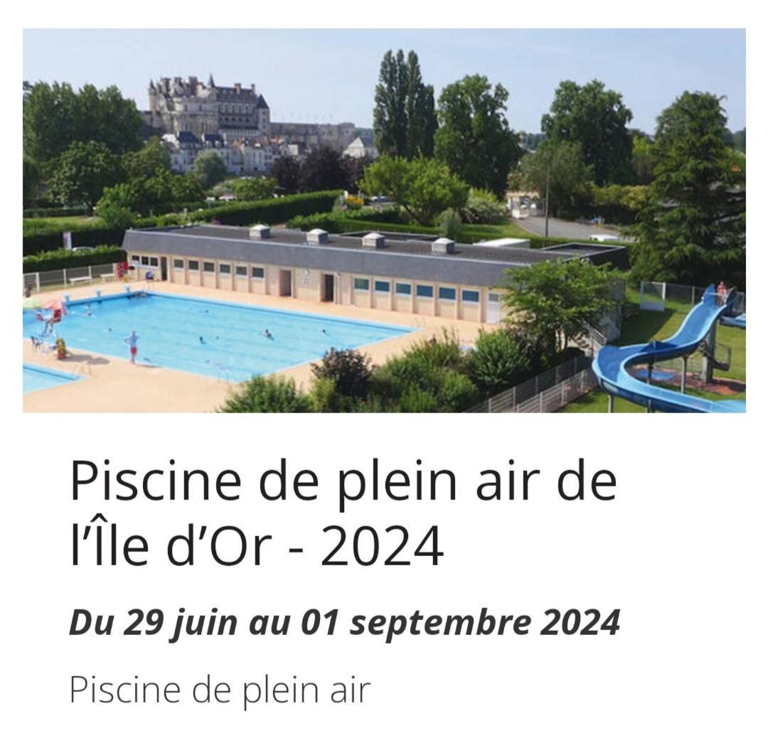 La Maison Aux Iris Pocé-sur-Cisse Екстериор снимка