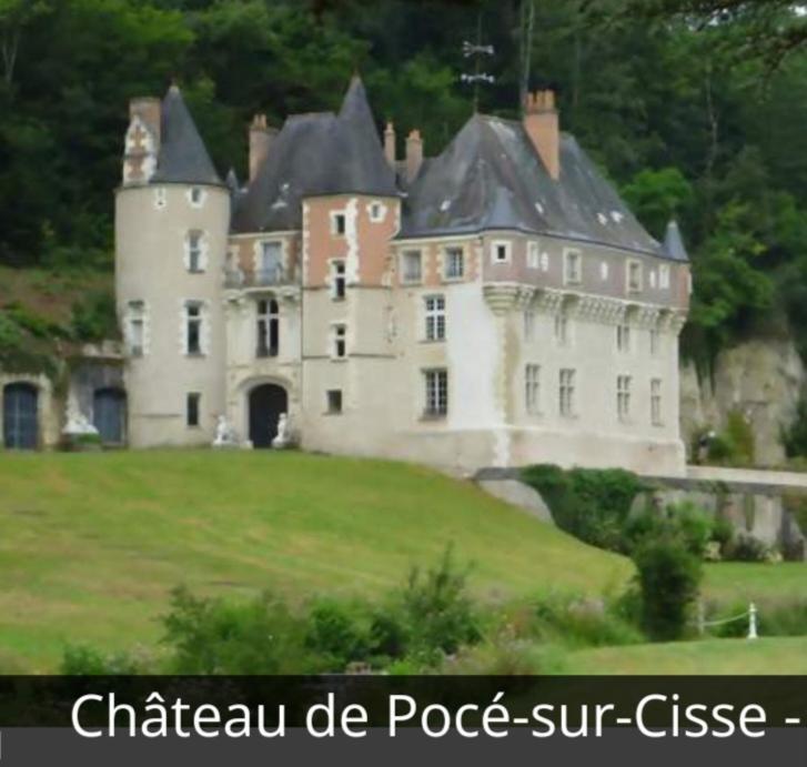 La Maison Aux Iris Pocé-sur-Cisse Екстериор снимка