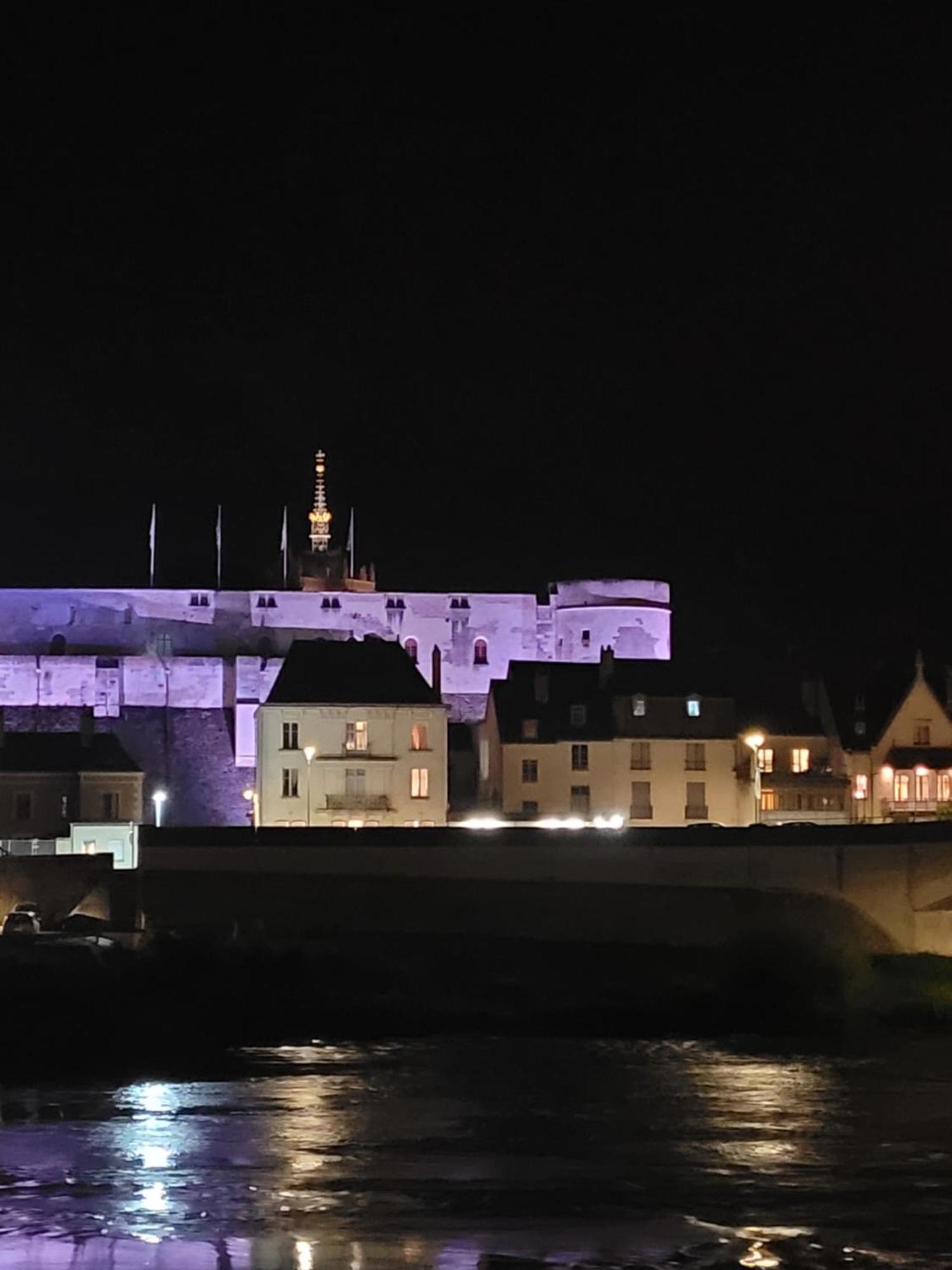La Maison Aux Iris Pocé-sur-Cisse Екстериор снимка