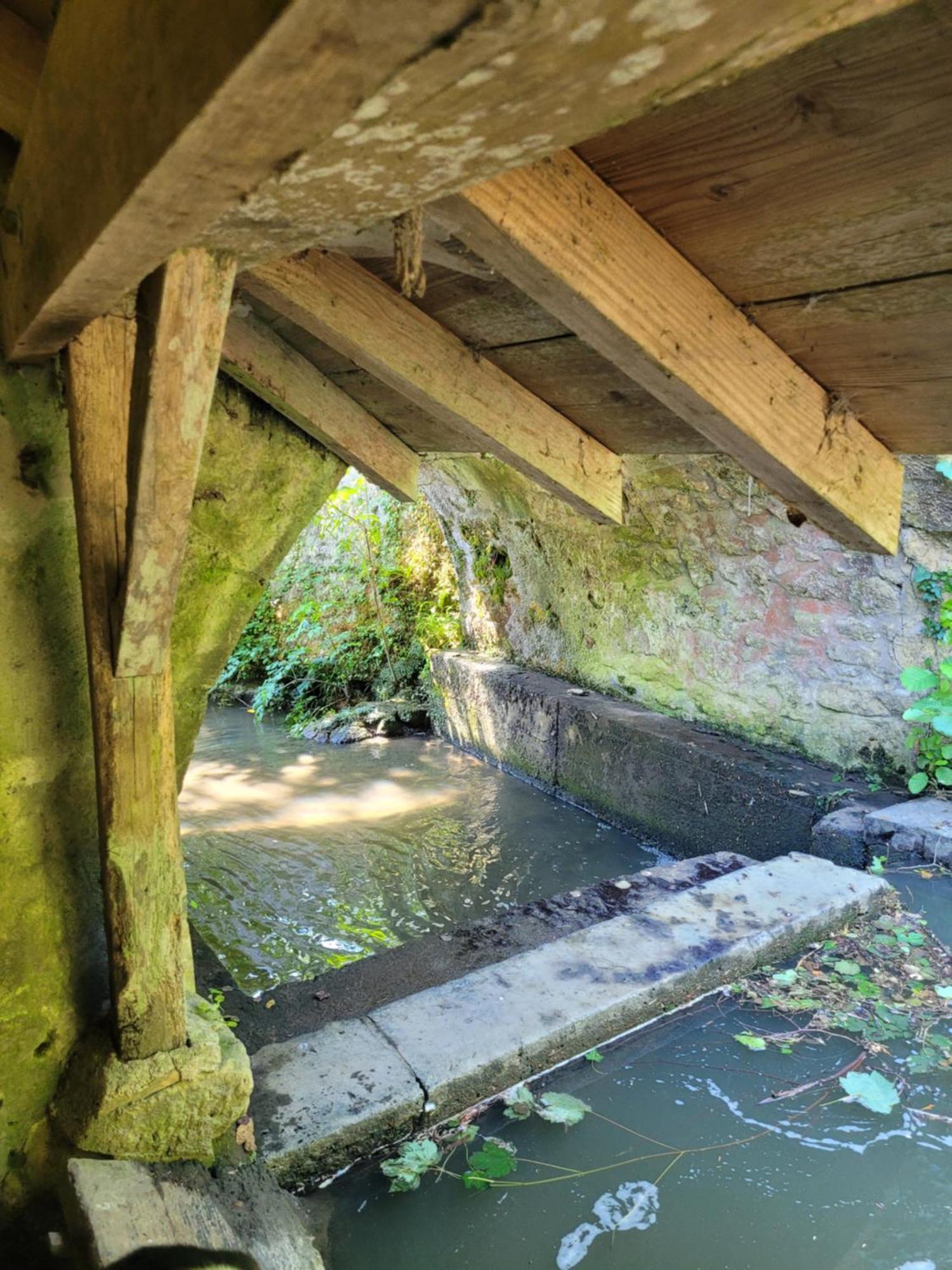 La Maison Aux Iris Pocé-sur-Cisse Екстериор снимка