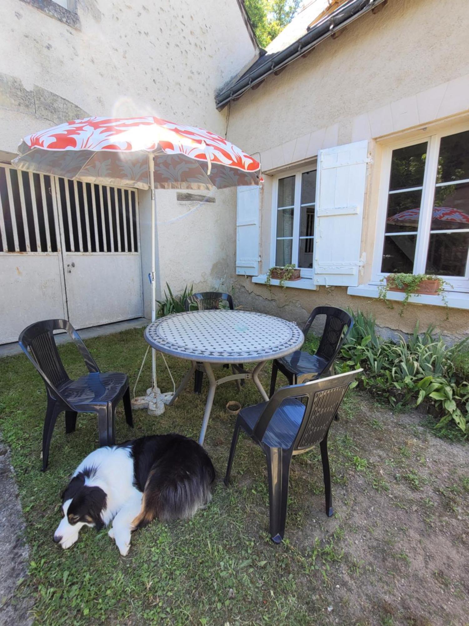 La Maison Aux Iris Pocé-sur-Cisse Екстериор снимка