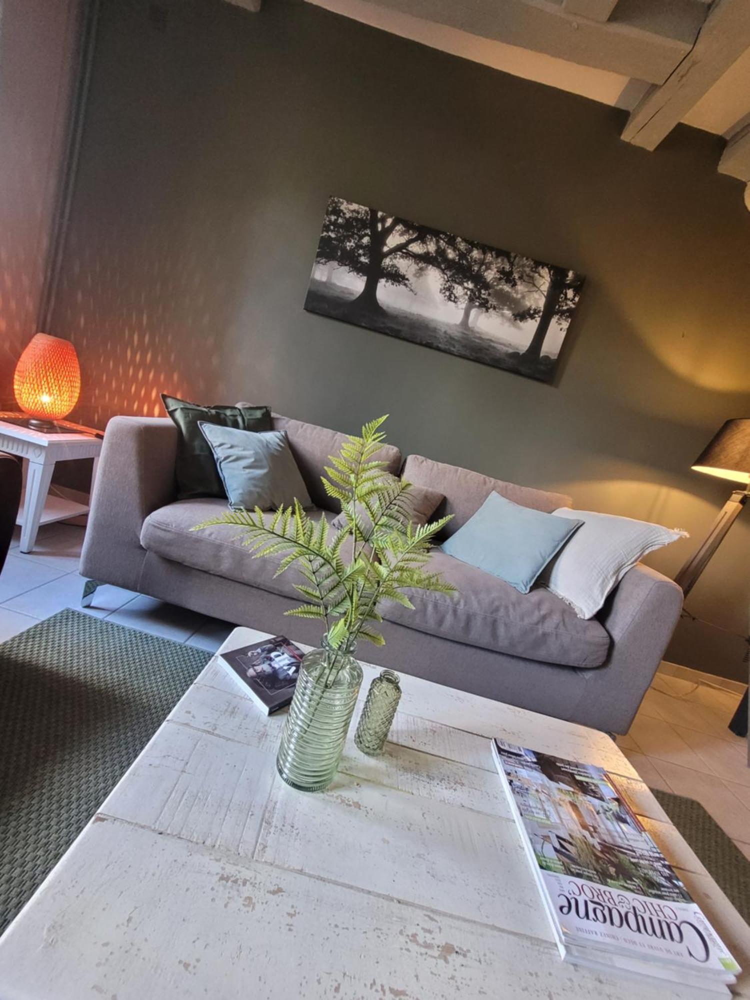 La Maison Aux Iris Pocé-sur-Cisse Екстериор снимка
